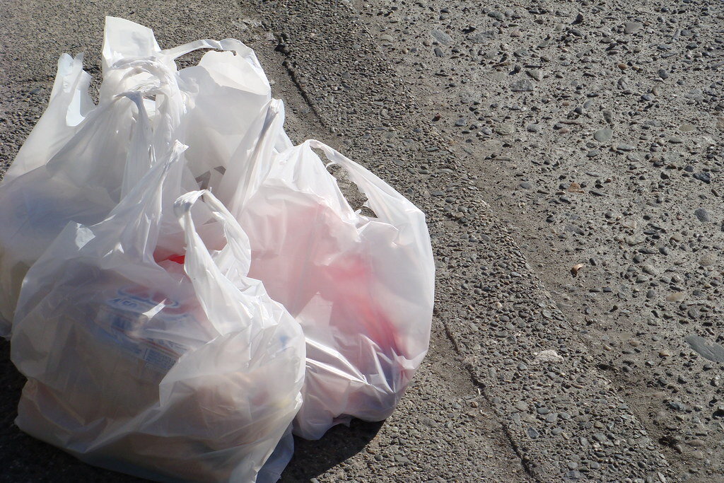 How banning plastic bags could help New York mitigate climate change