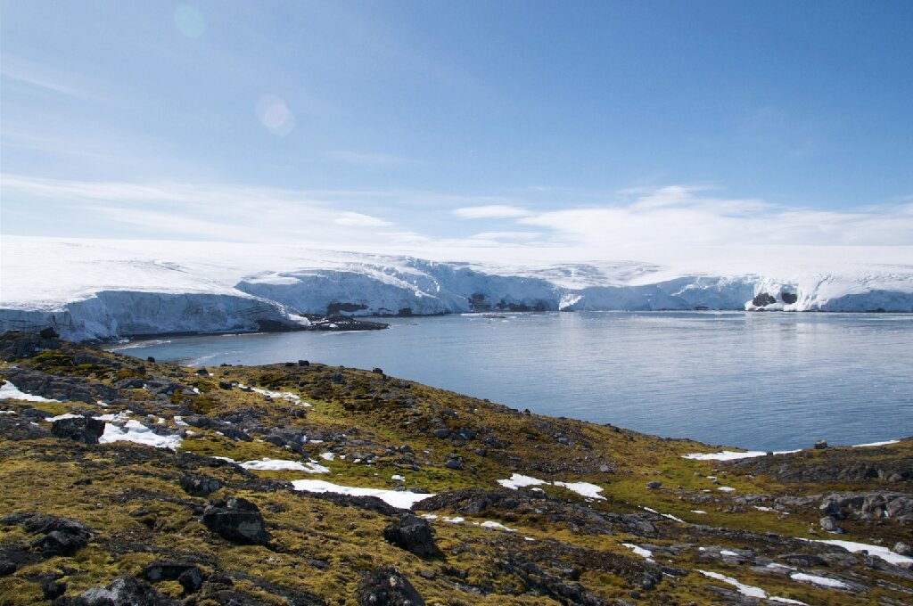 Invasive species set to exploit climate change in Antarctica