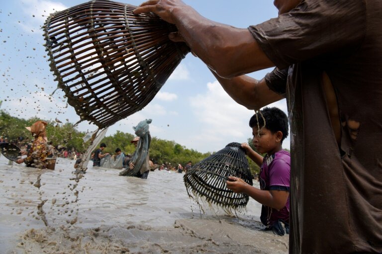 No hooks, lines or sinkers: Cambodians go traditional in fishing