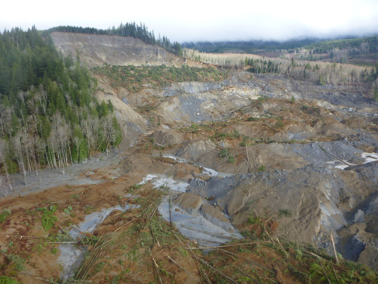 oso washington landslide case study