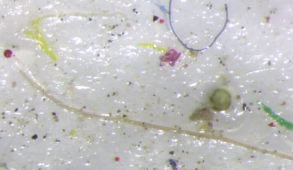 Record concentration of microplastic discovered in Arctic sea ice, study  says
