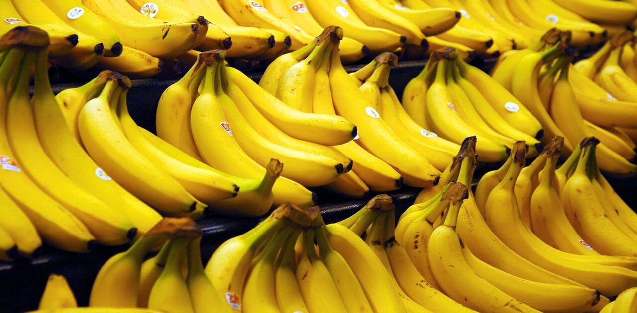 BANANAS Iron On Patch Fruit Food 