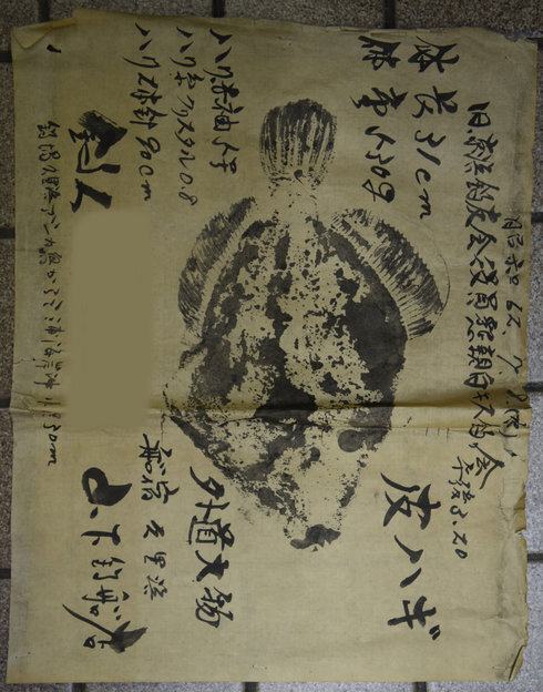On the edge between science and art: Historical biodiversity data from  Japanese 'gyotaku