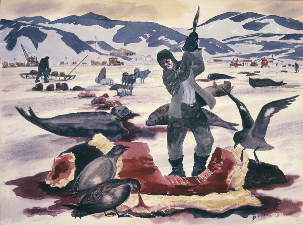 200 years ago, people discovered Antarctica—and began slaughtering its  animals to near extinction for profit
