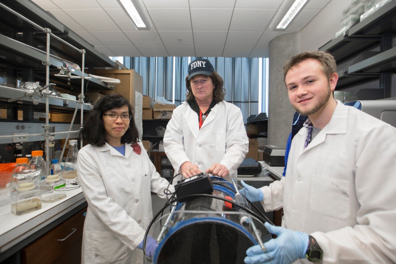 photo of Research team tackles superbug infections with novel therapy image