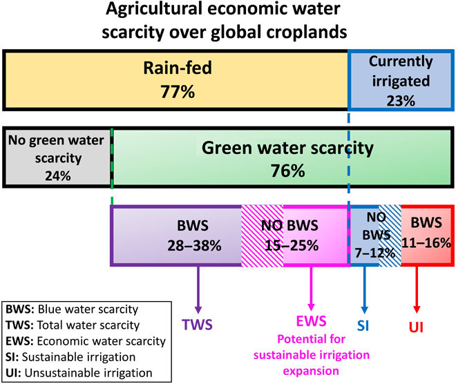 Irrigation expansion could feed 800 million more people - Phys.org