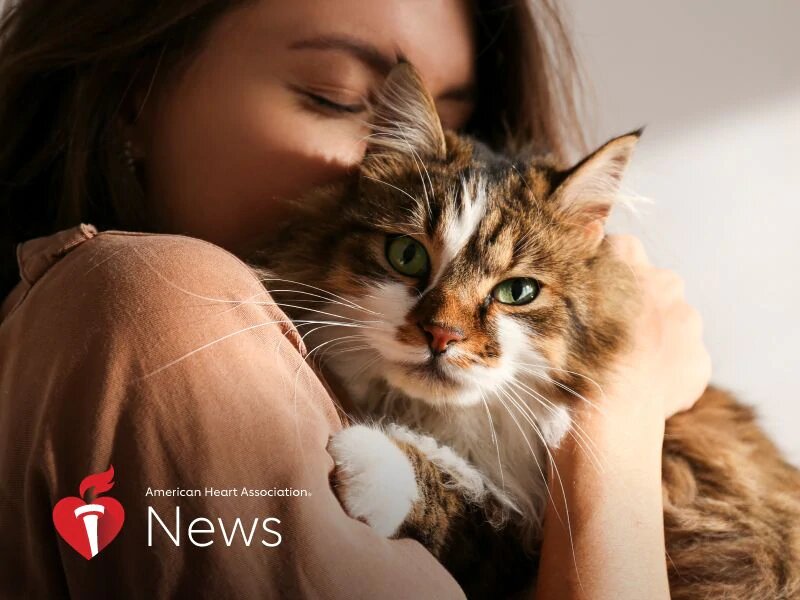 Need your cat to remain in purrr-fect well being? Be careful for coronary heart illness