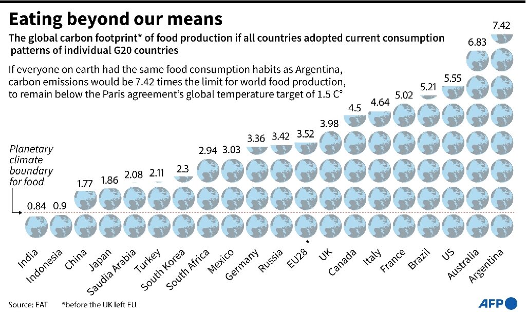 G20 carbon 'food-print' highest in meat-loving nations: report - Phys.org
