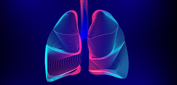 Scientists track down a protein that may add to lung damage in asthma and related diseases