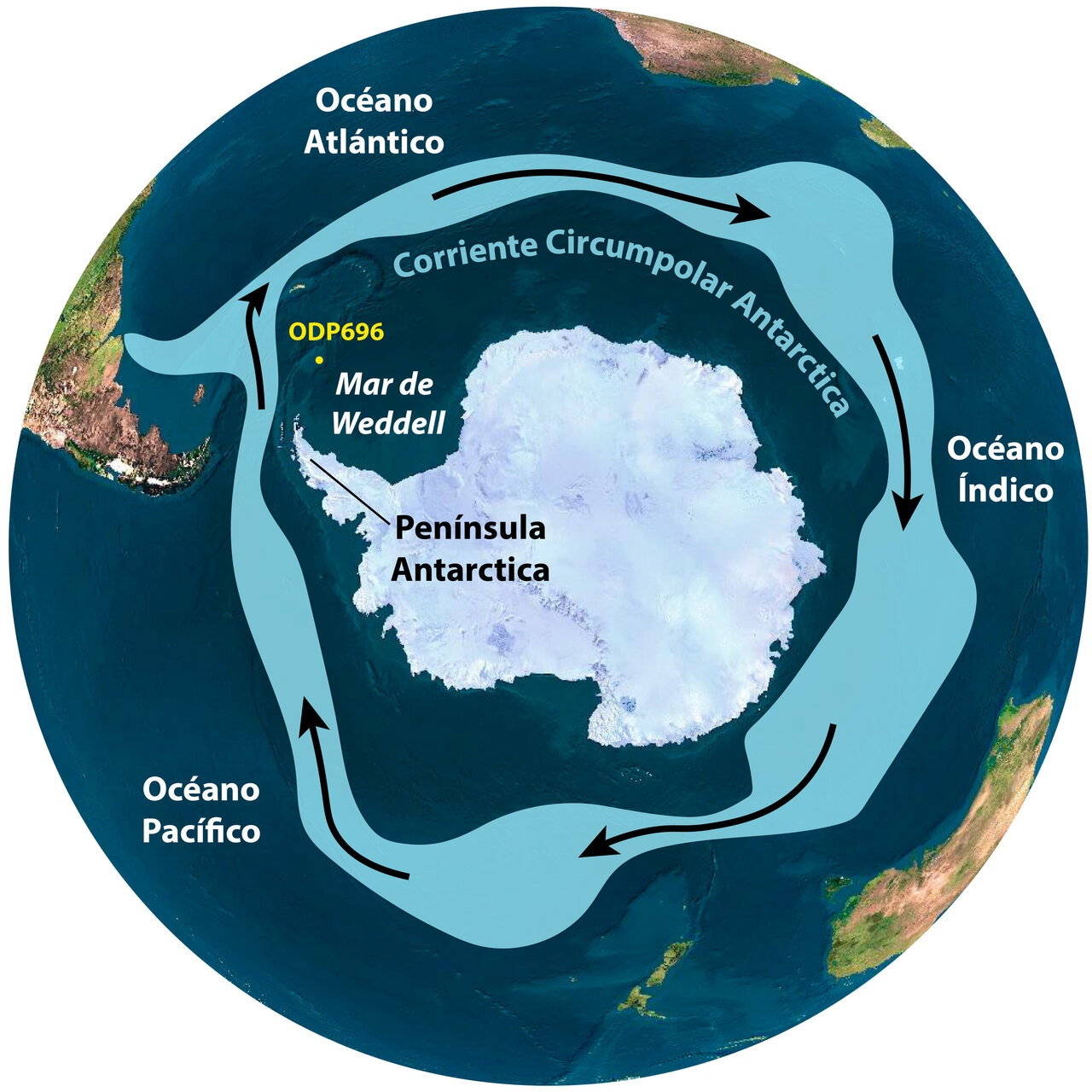 Clays in Antarctica from millions of years ago reveal past climate changes