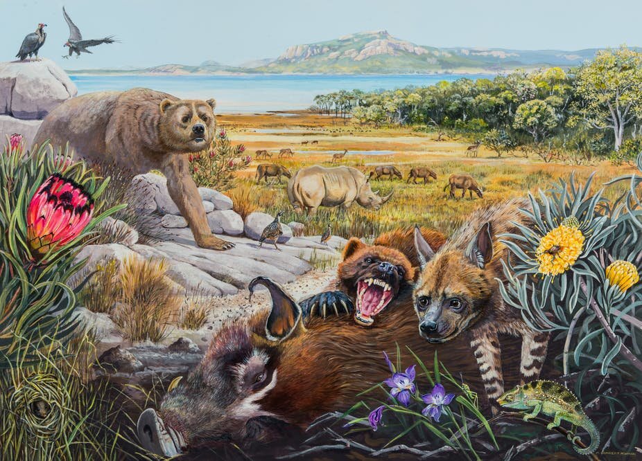 Gigantic wolverines, otters the size of wolves: Fossils offer fresh  insights into the past