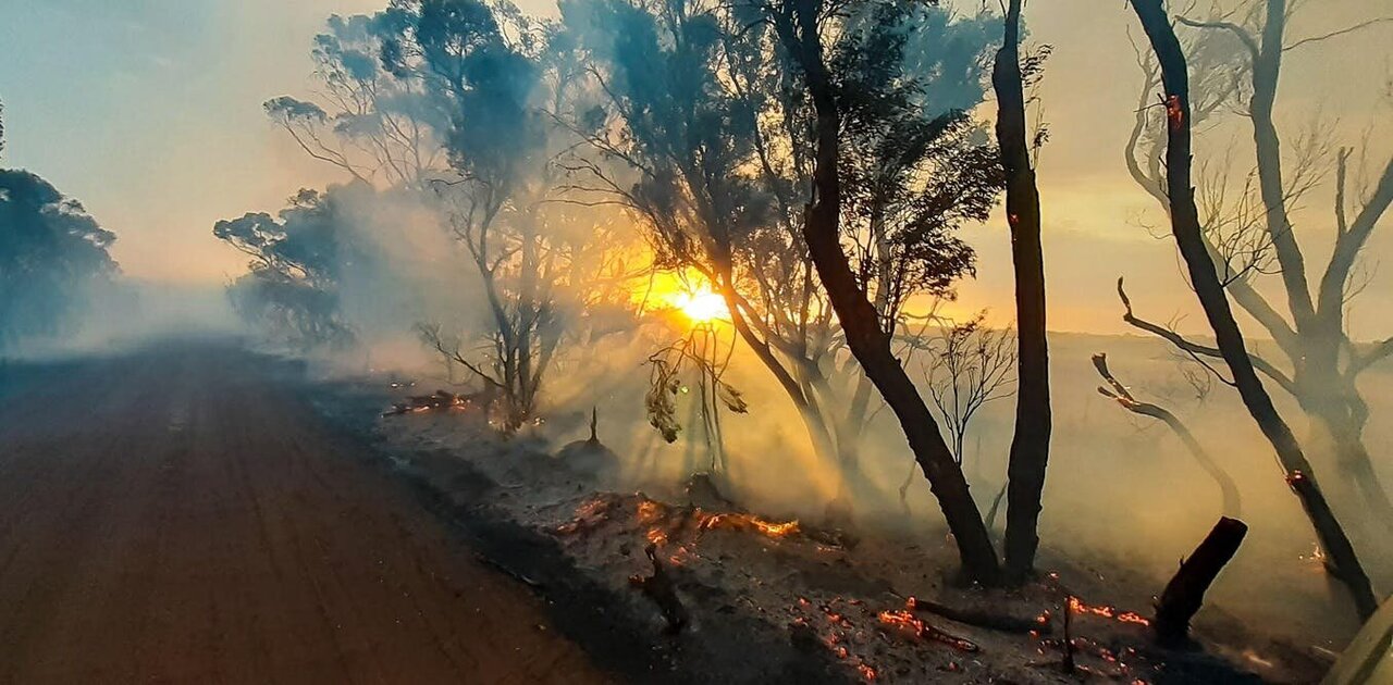 Bushfire Maps From Satellite Data Show Glaring Gap In Australia S Preparedness