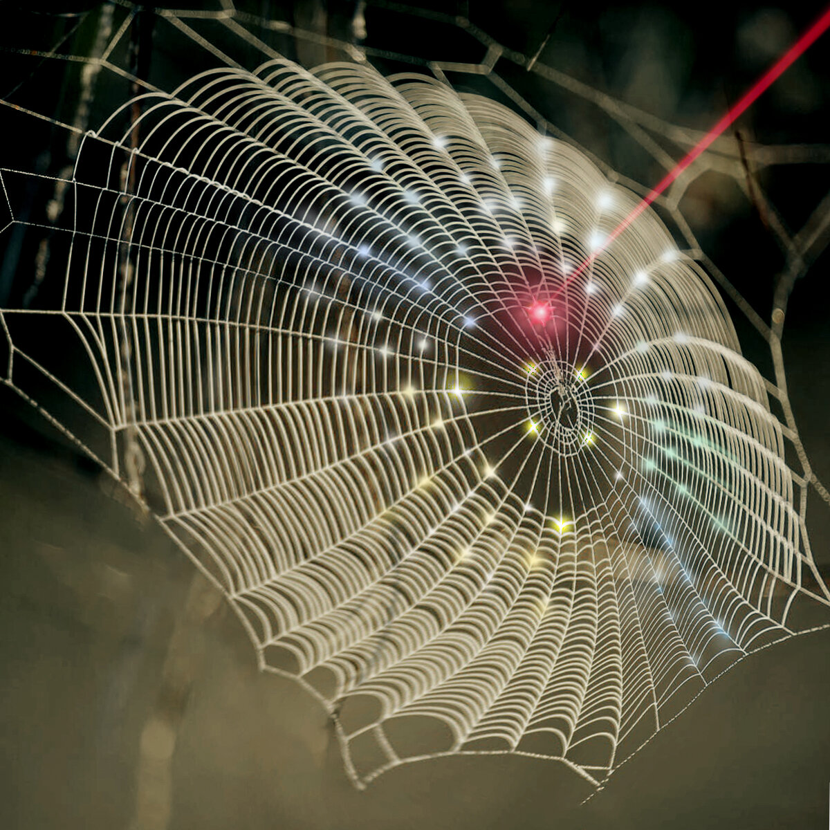 innovation-spins-spider-web-architecture-into-3-d-imaging-technology
