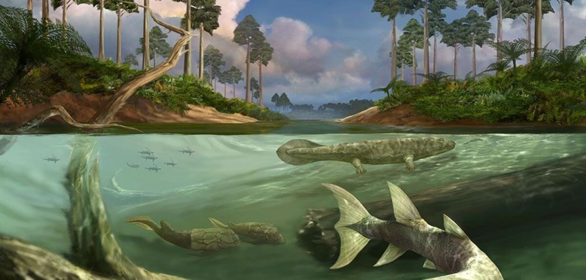 photo of Large tides may have been a key factor in the evolution of bony fish and tetrapods image