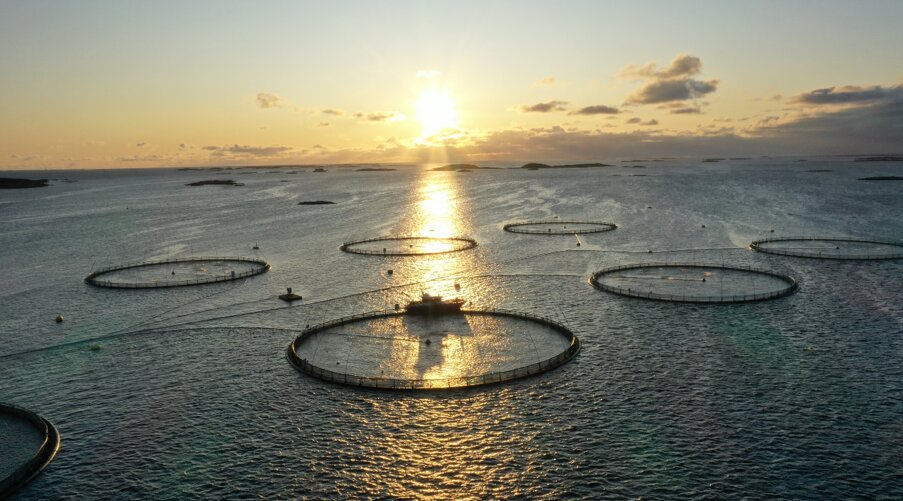 photo of Meet the aquaculture industry's new maintenance bot image
