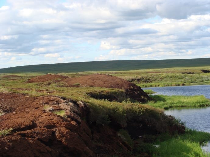 Peatland carbon and nitrogen stocks vulnerable to permafrost thaw - Phys.org