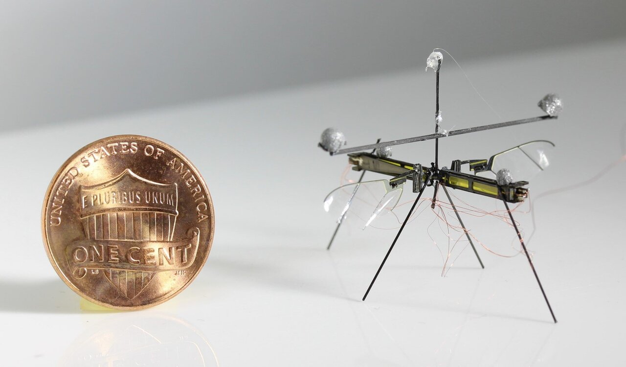 utilstrækkelig Proportional beruset RoboFly: An insect-sized robot that can fly, walk and drift on water  surfaces