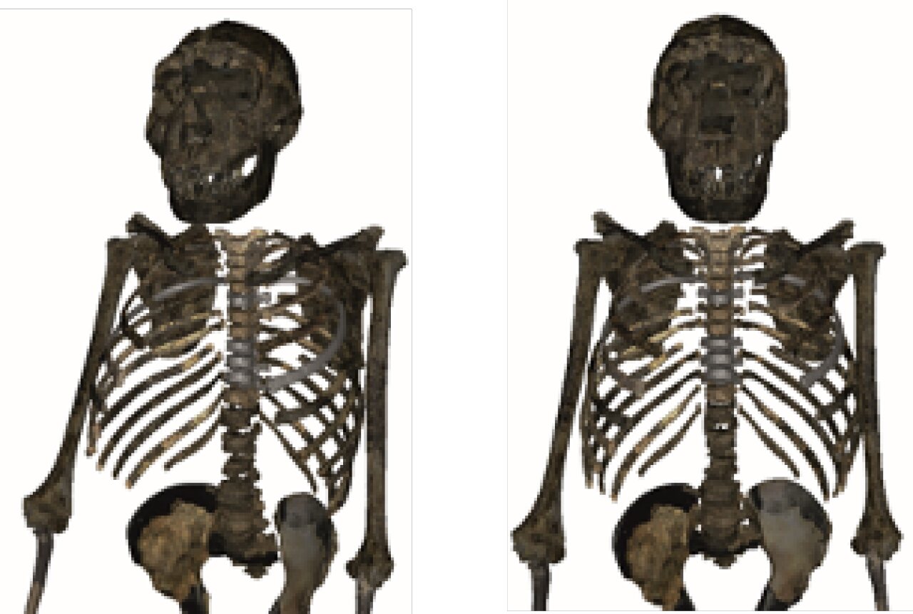 Seeking ancestral commonalities with modern human body type, researchers  find stockier answer