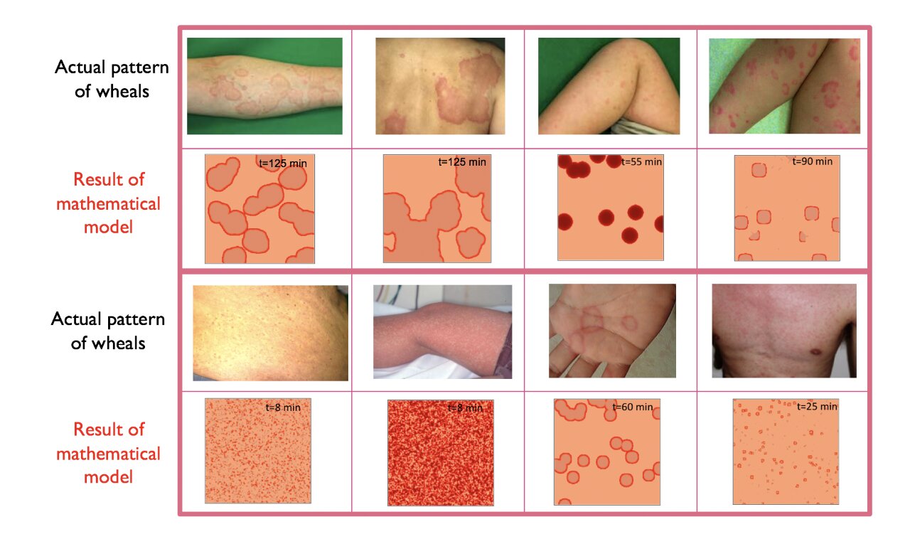 research on skin problems