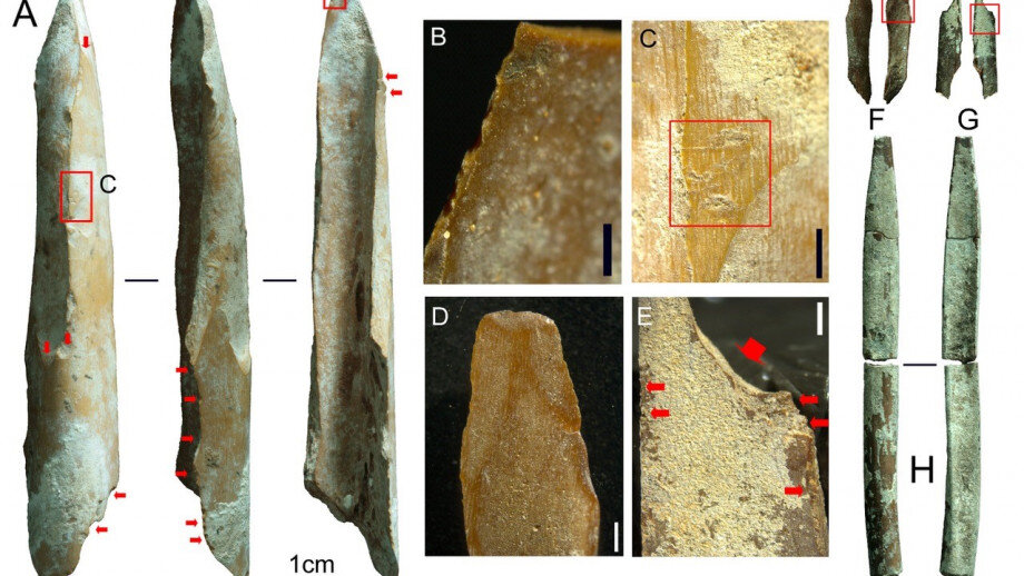 Bone Tools Found In Kimberley Region Are Among Oldest Discovered In Australia