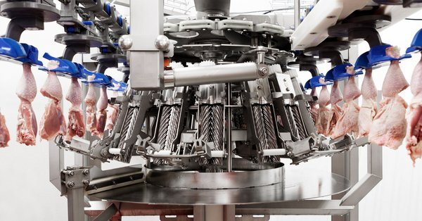 Normalt rolle Ni Smart algorithms make packaging of meat products more efficient