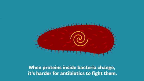 As more bacteria grow resistant to antibiotics, scientists are fighting