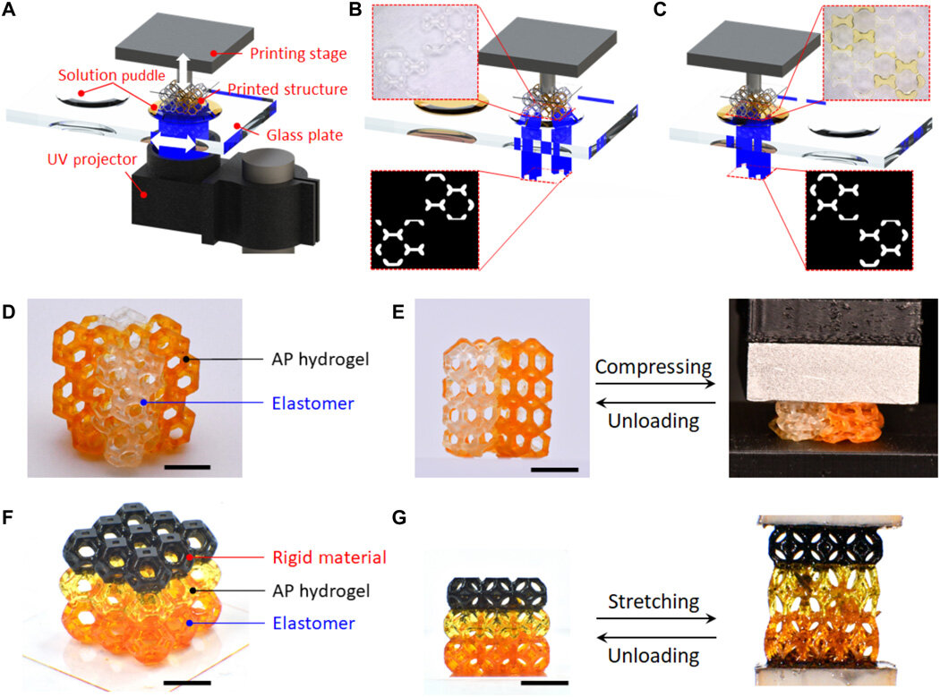 3-D printing highly stretchable hydrogel with diverse UV curable polymers