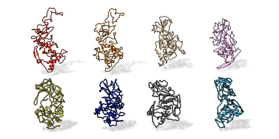 photo of Antibody binding-site conserved across COVID-19 virus variants image