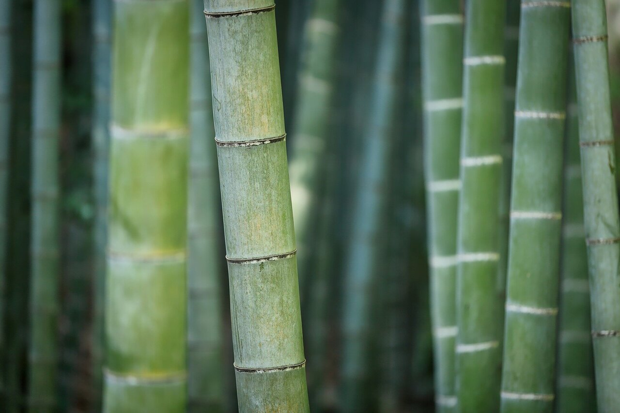 new FR108BC fiber in bamboo 