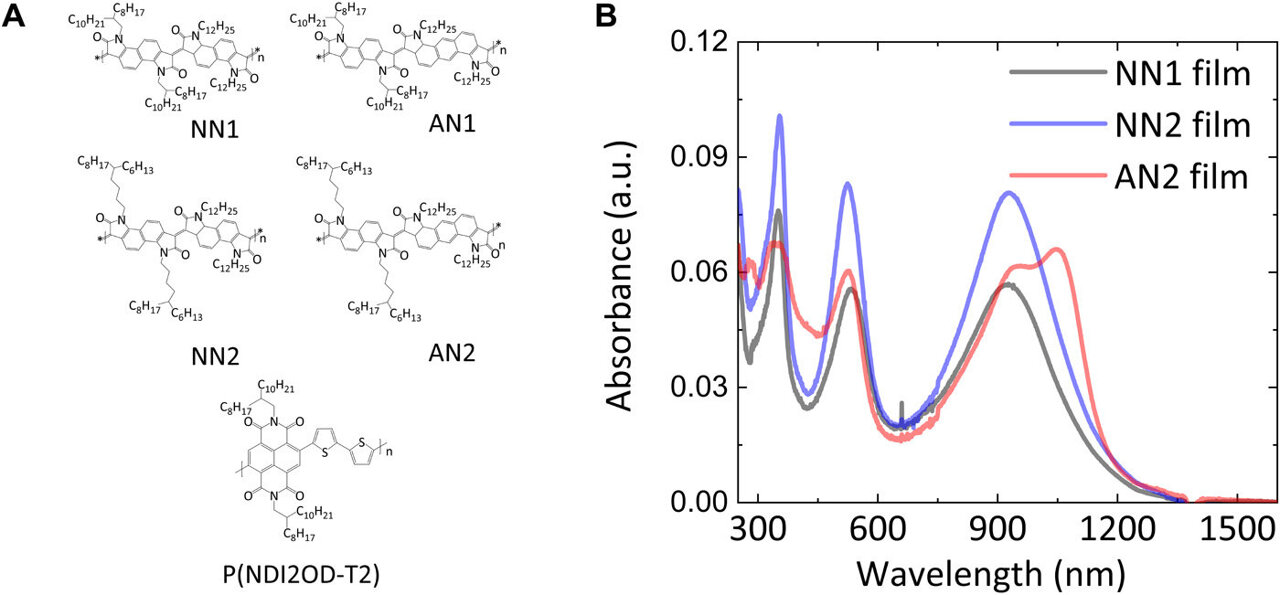 Charge transport physics of a unique class of rigid-rod conjugated polymers