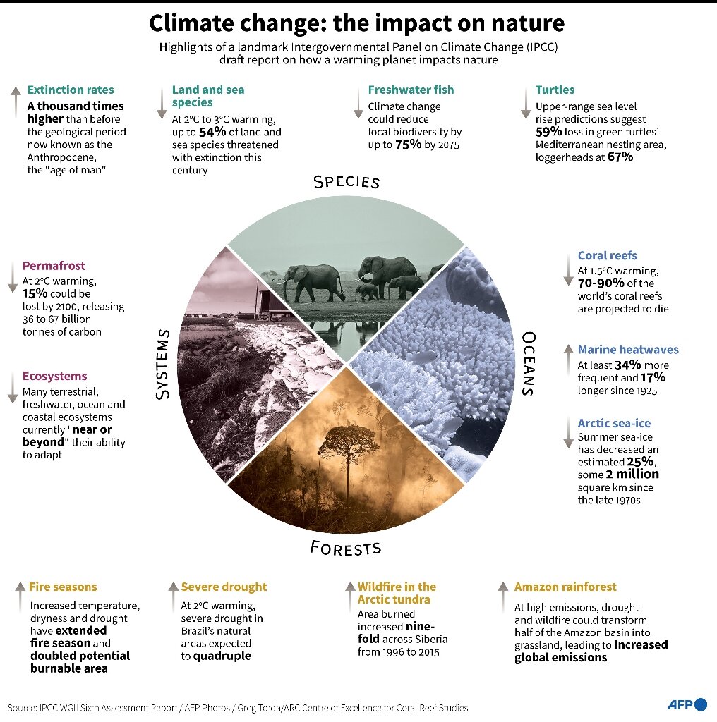 UN climate report: Impacts nature