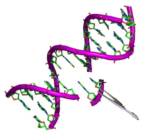 CRISPR editing of mitochondria: promising new biotechnology?