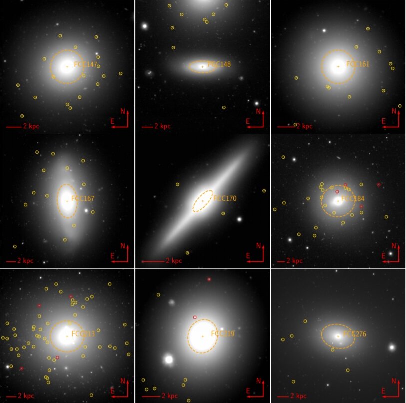 Dozens of ultra-compact dwarf galaxies detected
