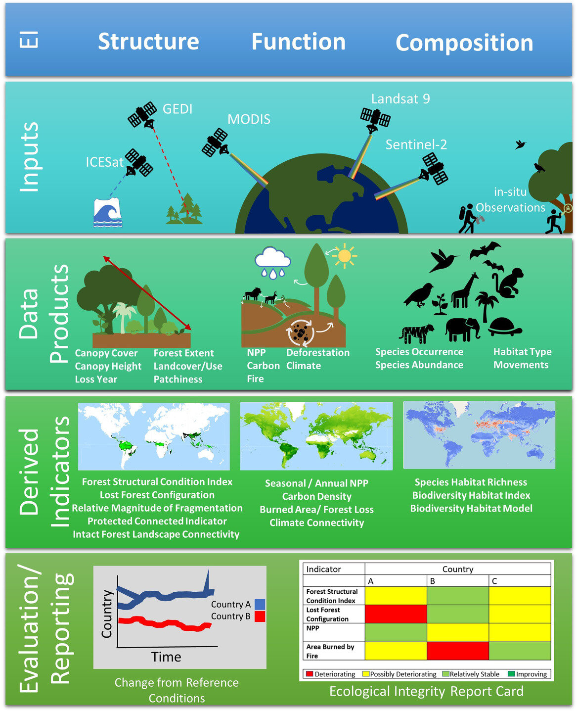 ecologists-outline-methods-for-reaching-global-biodiversity-targets