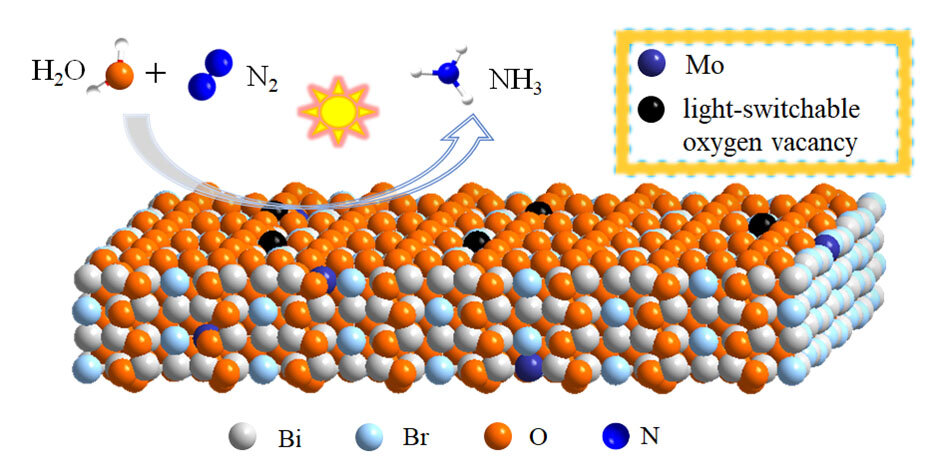 Photo of Amélioration de la photosynthèse de l’ammoniac ambiant à l’aide de nanofeuillets avec des lacunes d’oxygène à échange de lumière