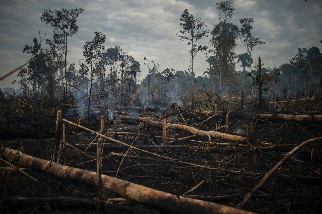 deforestation hits monthly record in Brazil