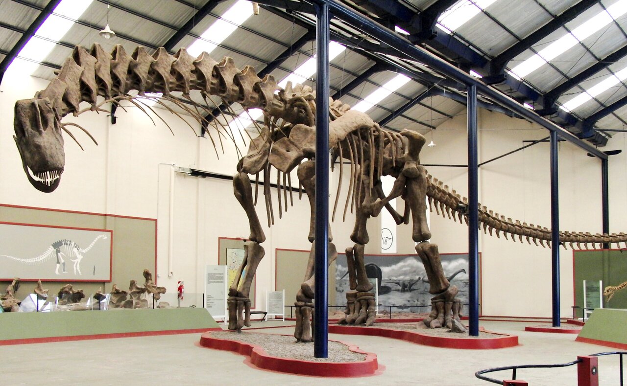 Are dinosaur bones difficult to date?