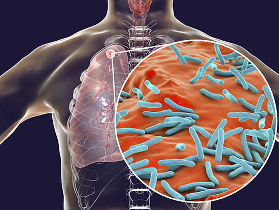 How the pathogen Mycobacterium tuberculosis secretes and traffics its only known..