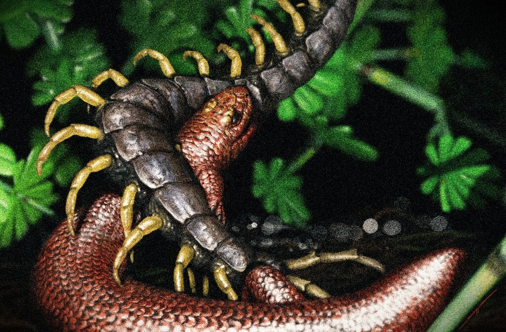 Fossil reveals burrowing lifestyle of tiny dino