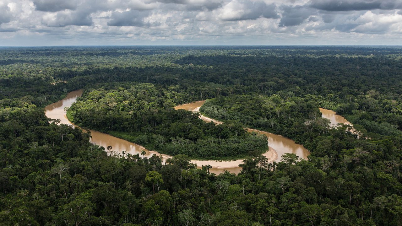 Photo of Selon une enquête de la NASA, la capacité d’absorption du dioxyde de carbone des forêts tropicales est en déclin.