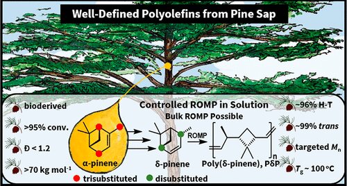 Pine sap–based plastic: A potential gamechanger for future of sustainable  materials