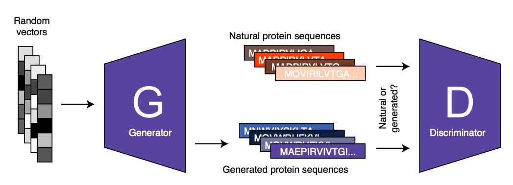 A generative adverse network that generates functional protein sequences