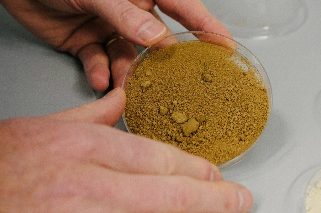 Finnish scientists create 'sustainable' lab-grown coffee