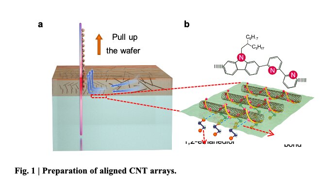 Radiofrequency transistors based on high-purity carbon nanotube arrays