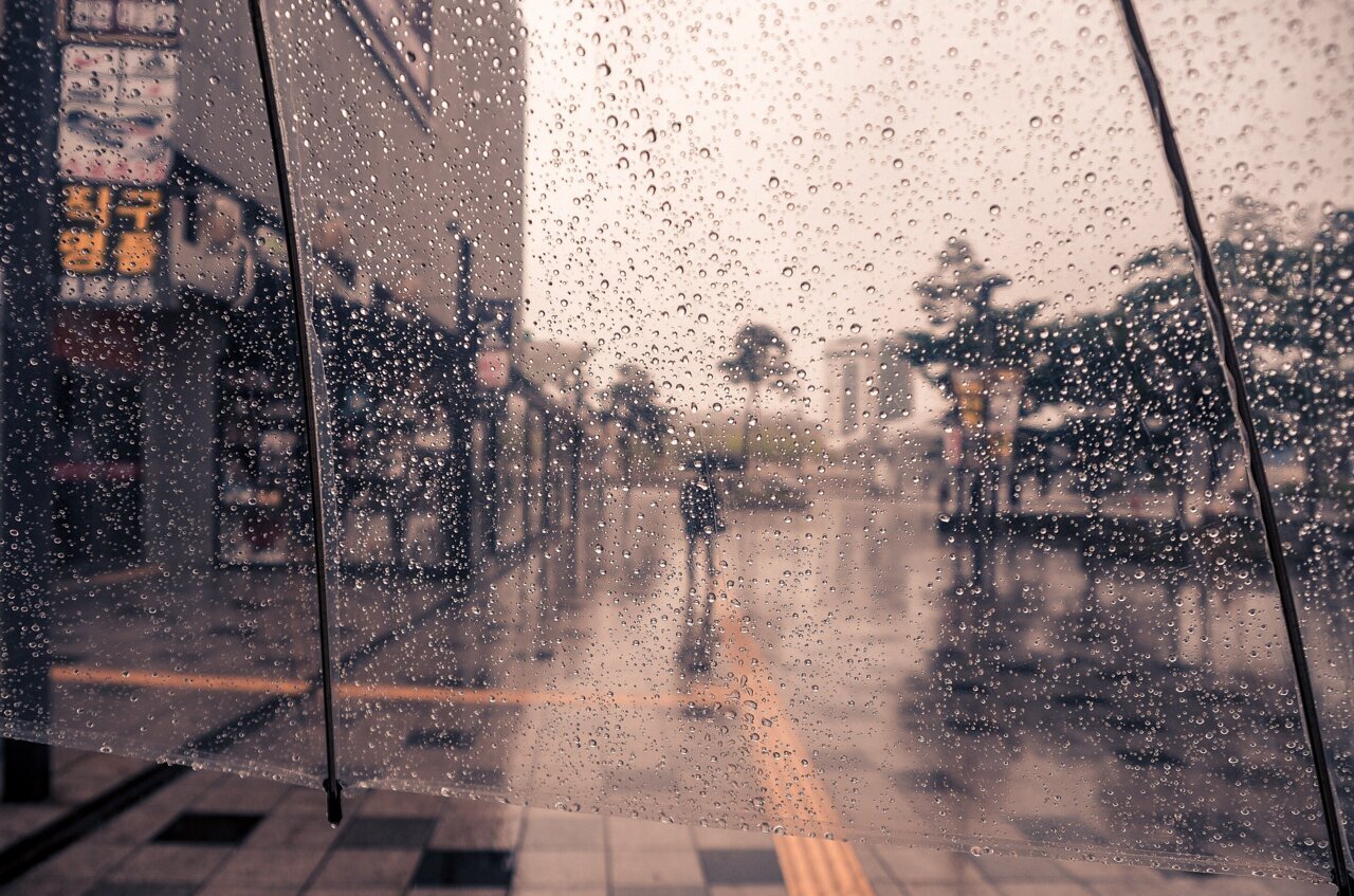 rainy spring day