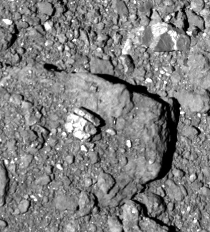 Examining asteroid Ryugu in opposition to Hayabusa2: A starkly lit distribution of dust and rock