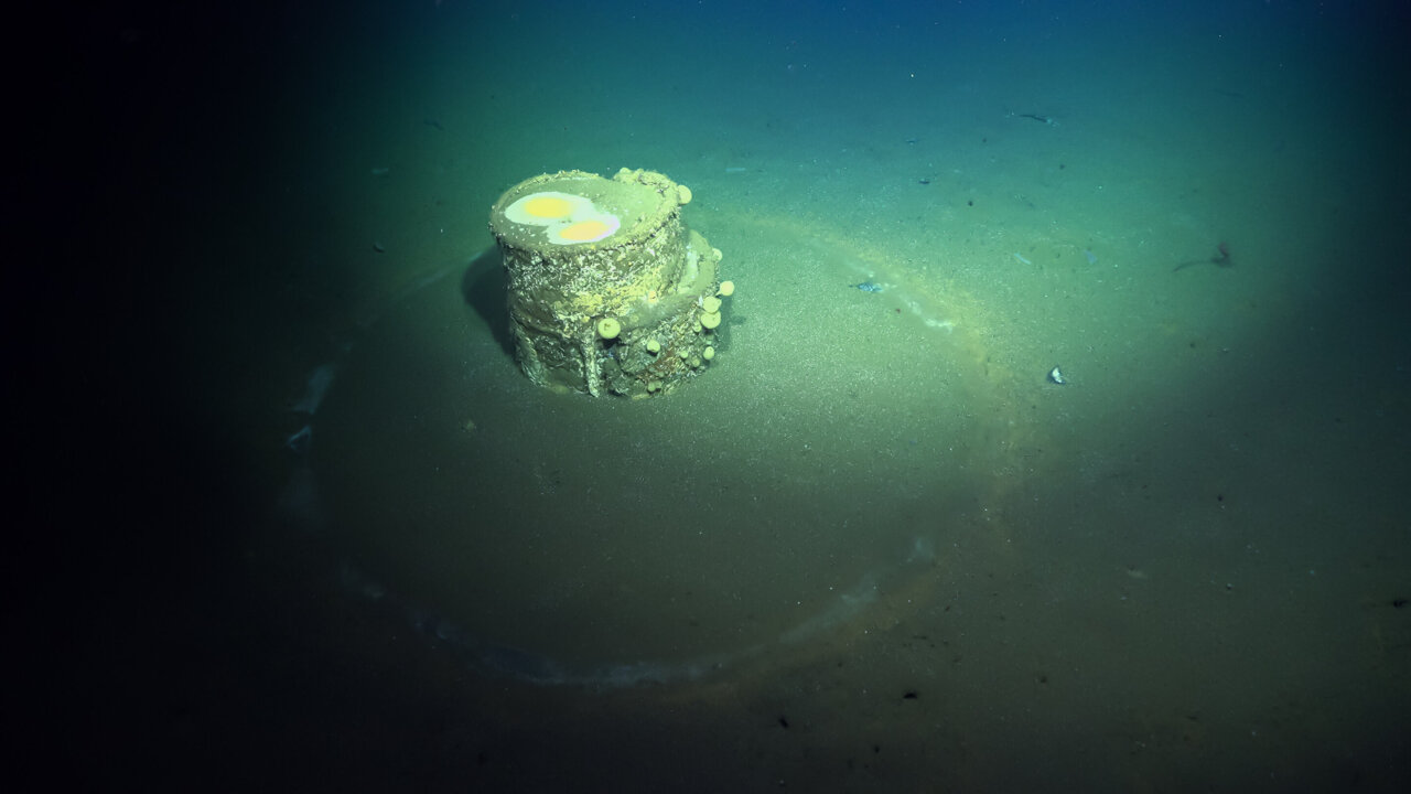 Mineral-rich seafloor and DDT dump sites reveal new methane seep 