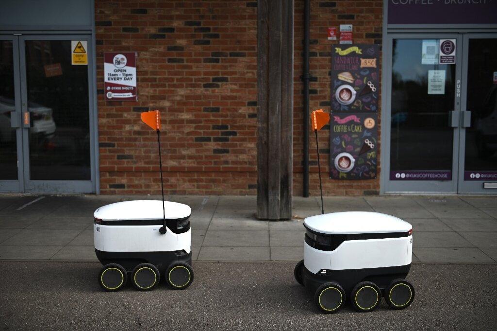 Delivery robots take the strain out of shopping in UK town