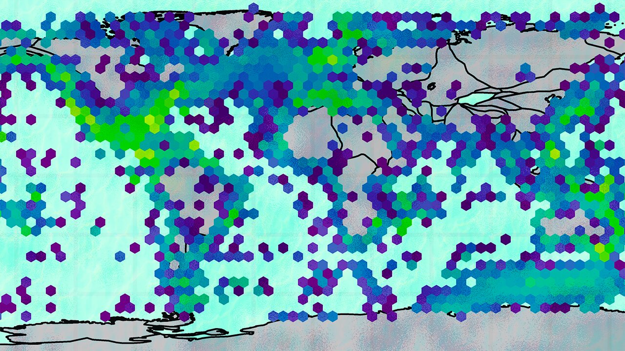 photo of Temperature explains why aquatic life more diverse near equator image