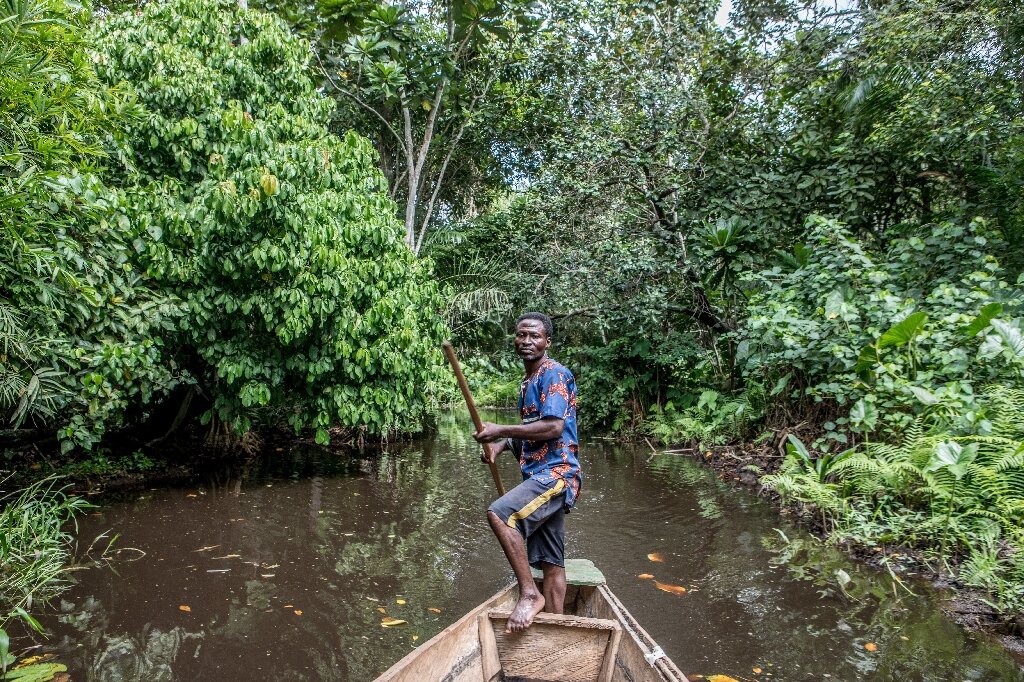 Benin's rare swamp forest 'at risk of disappearing'